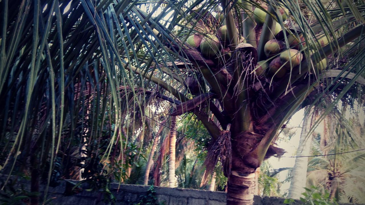 Sampathaa Residence Negombo Esterno foto