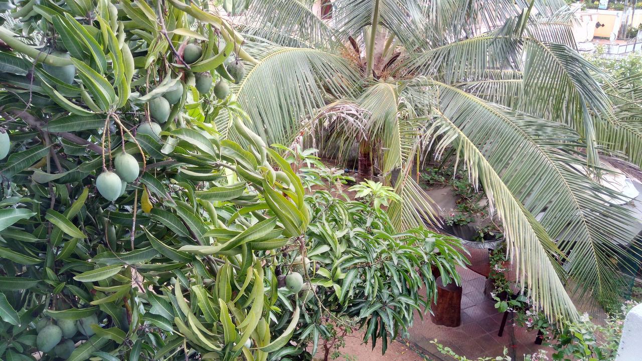 Sampathaa Residence Negombo Esterno foto