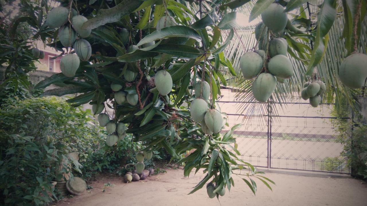 Sampathaa Residence Negombo Esterno foto