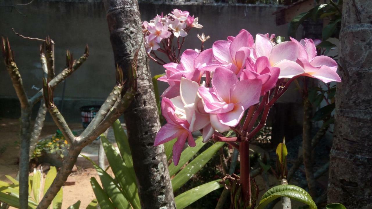 Sampathaa Residence Negombo Camera foto