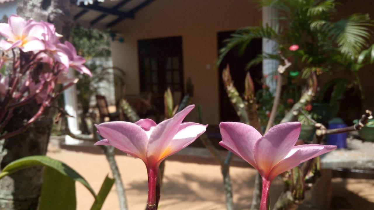 Sampathaa Residence Negombo Camera foto